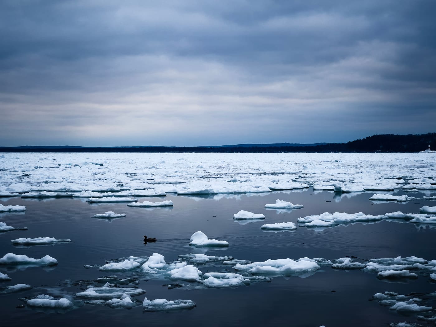 A single duck swims through dark water scattered with broken ice floes under a heavy grey-blue winter sky.