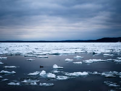 A single duck swims through dark water scattered with broken ice floes under a heavy grey-blue winter sky.