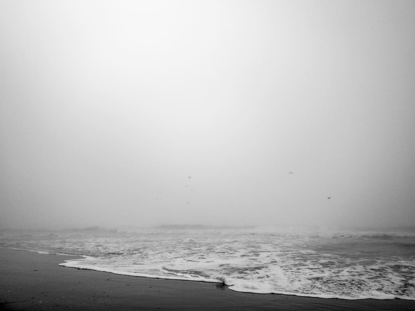 Black and white beach scene with foam-edged surf, dark wet sand, and a few gulls in thick coastal fog.