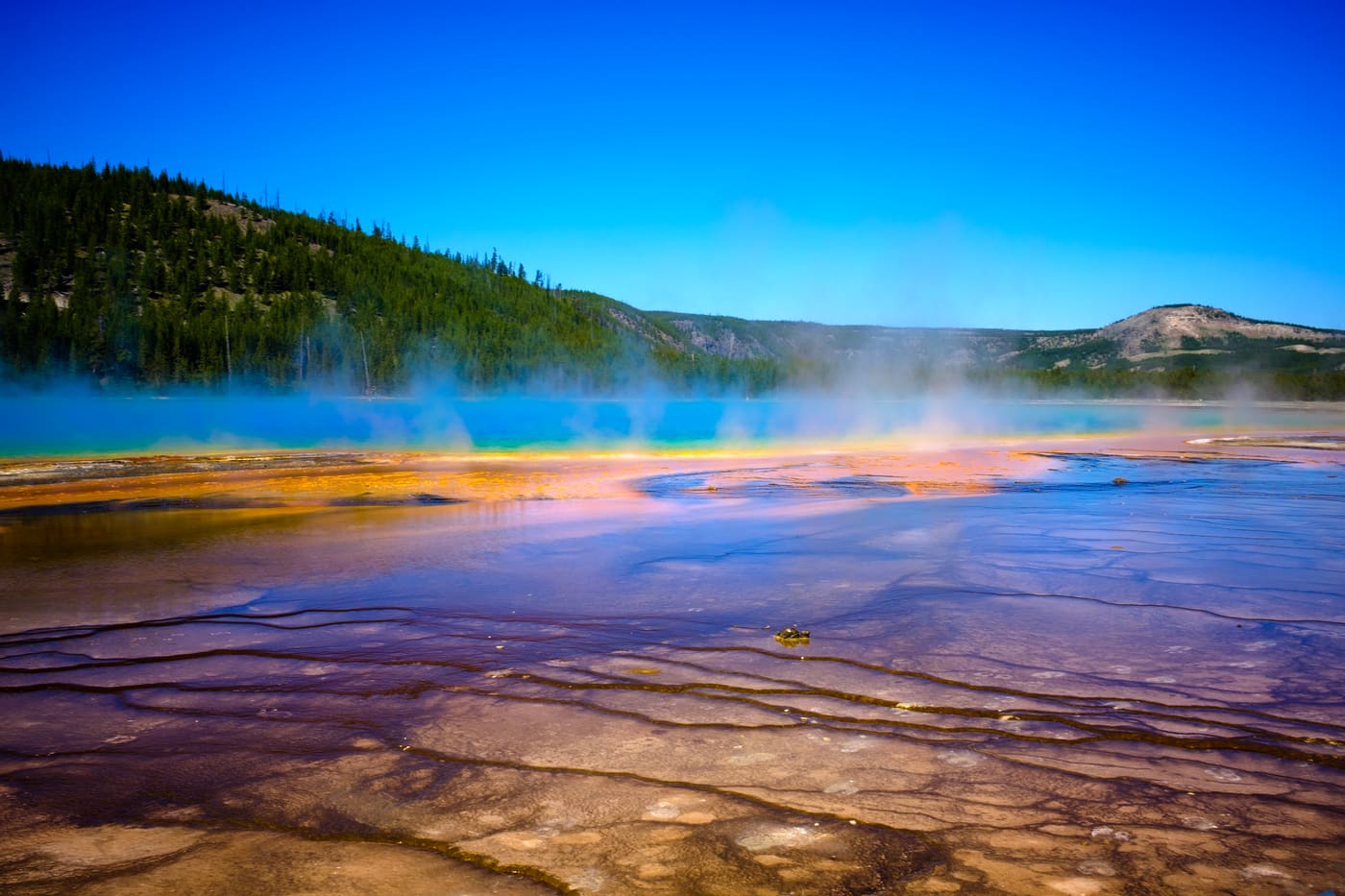 Steam drifts across a vast hot spring's orange and blue mineral flats beneath a deep blue sky and forested ridge.