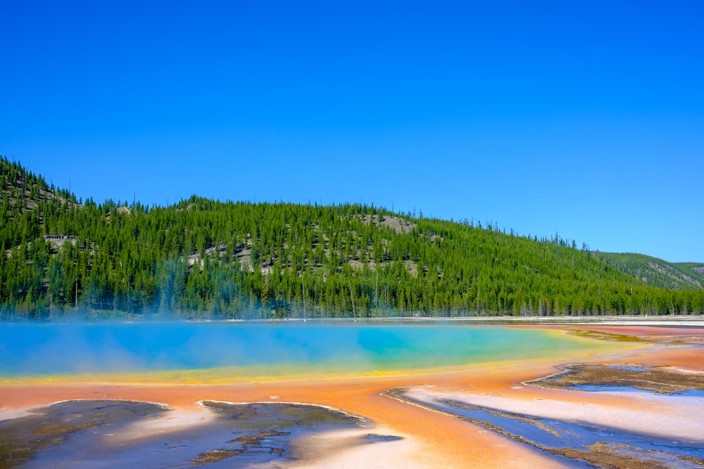 Turquoise hot spring with orange bacterial mats and drifting steam below a pine-covered ridge under clear blue sky