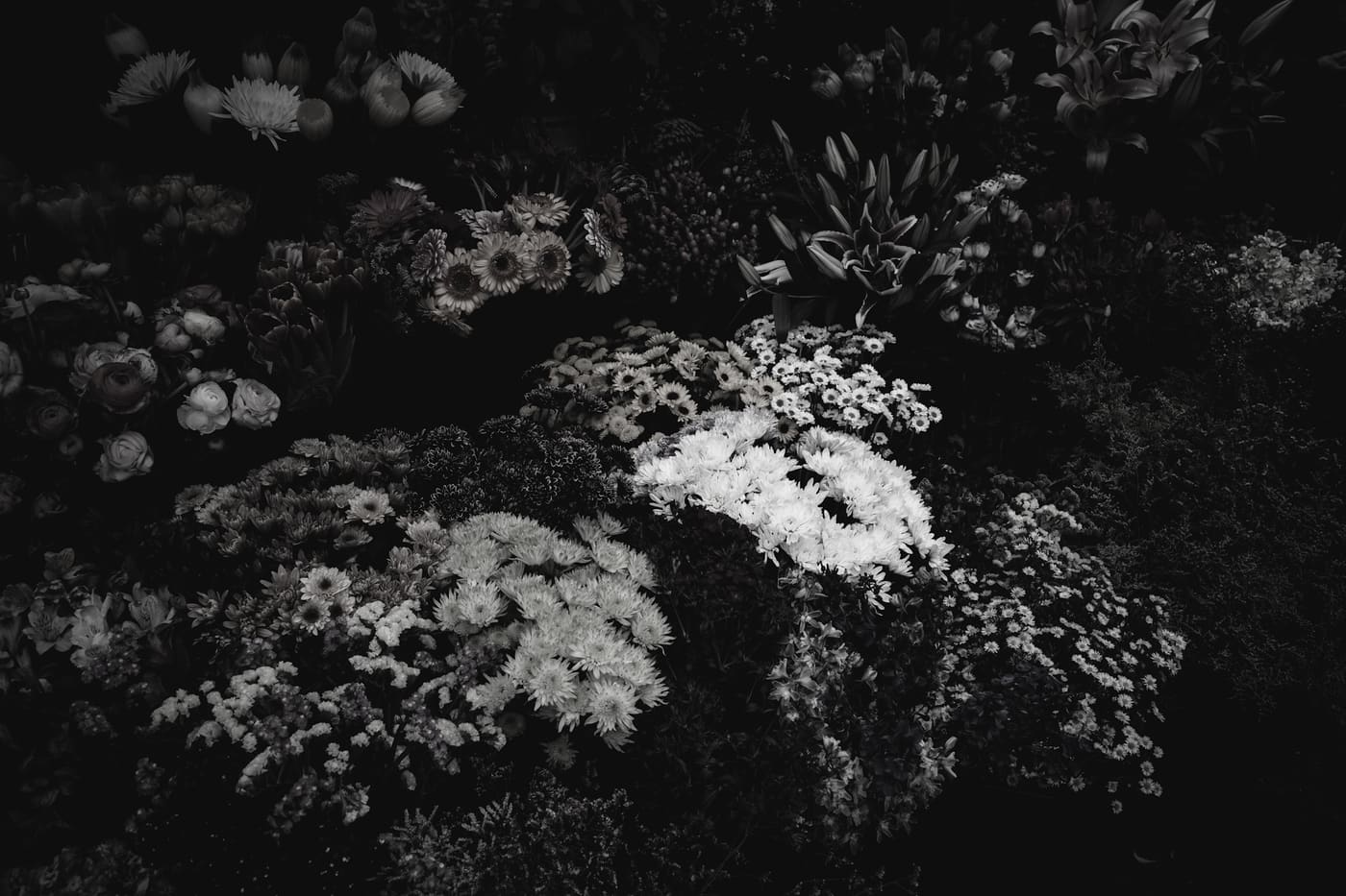 Black and white flower market stall where a cluster of pale chrysanthemums and daisies glows against deep shadow.