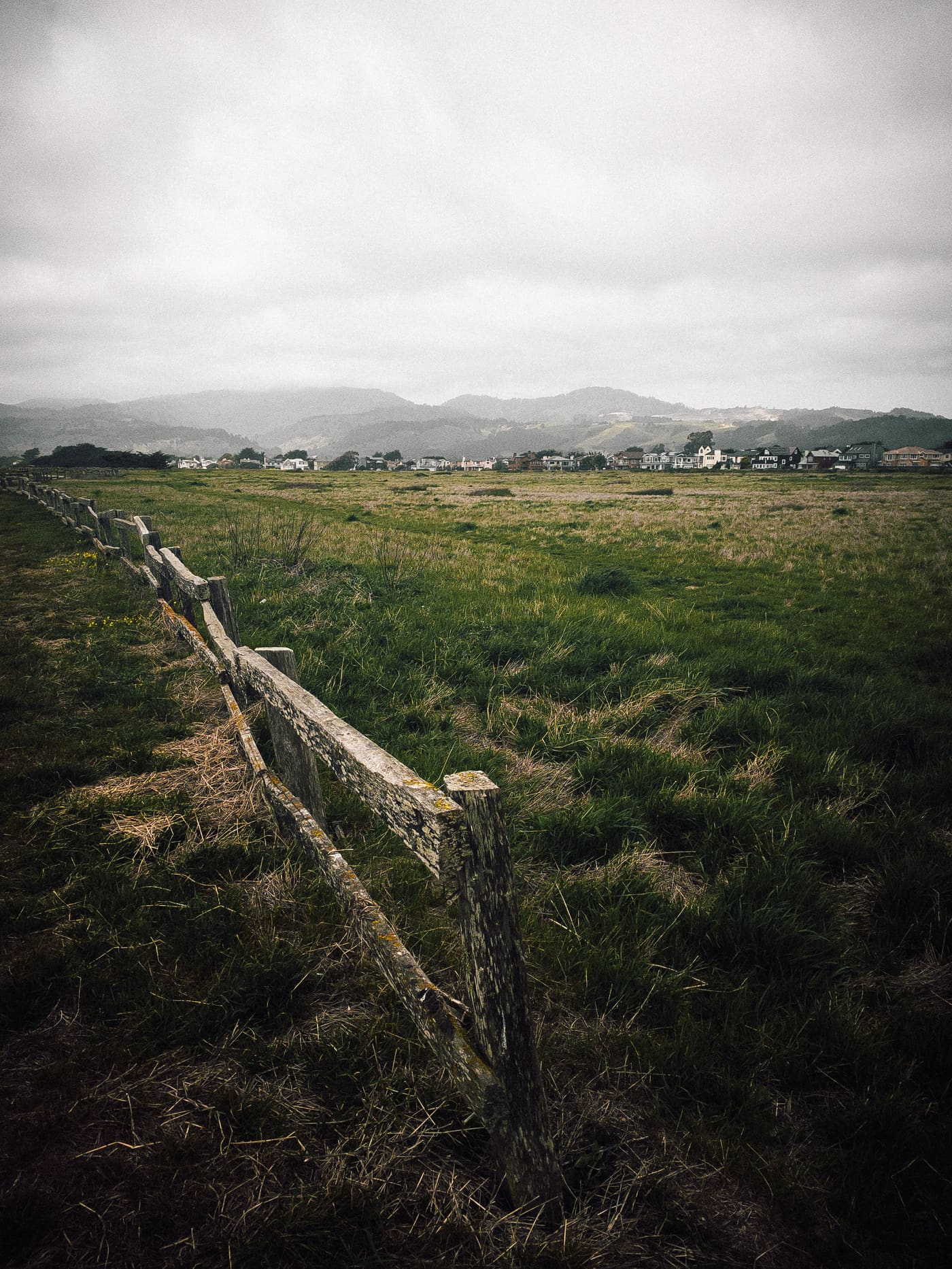 Photography by Sam Bloomberg-Rissman - IMG 0823