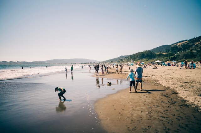Photography by Sam Bloomberg-Rissman - L1003894