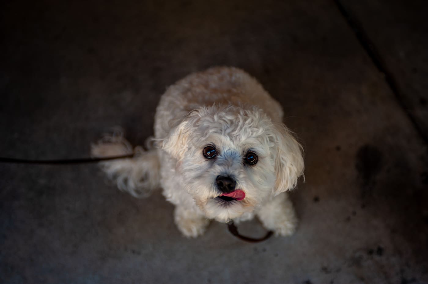 Photography by Sam Bloomberg-Rissman - S13 116 4702