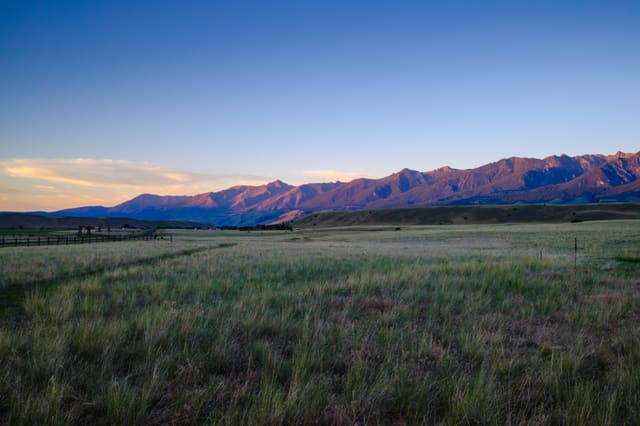Photography by Sam Bloomberg-Rissman - S21 06 1156