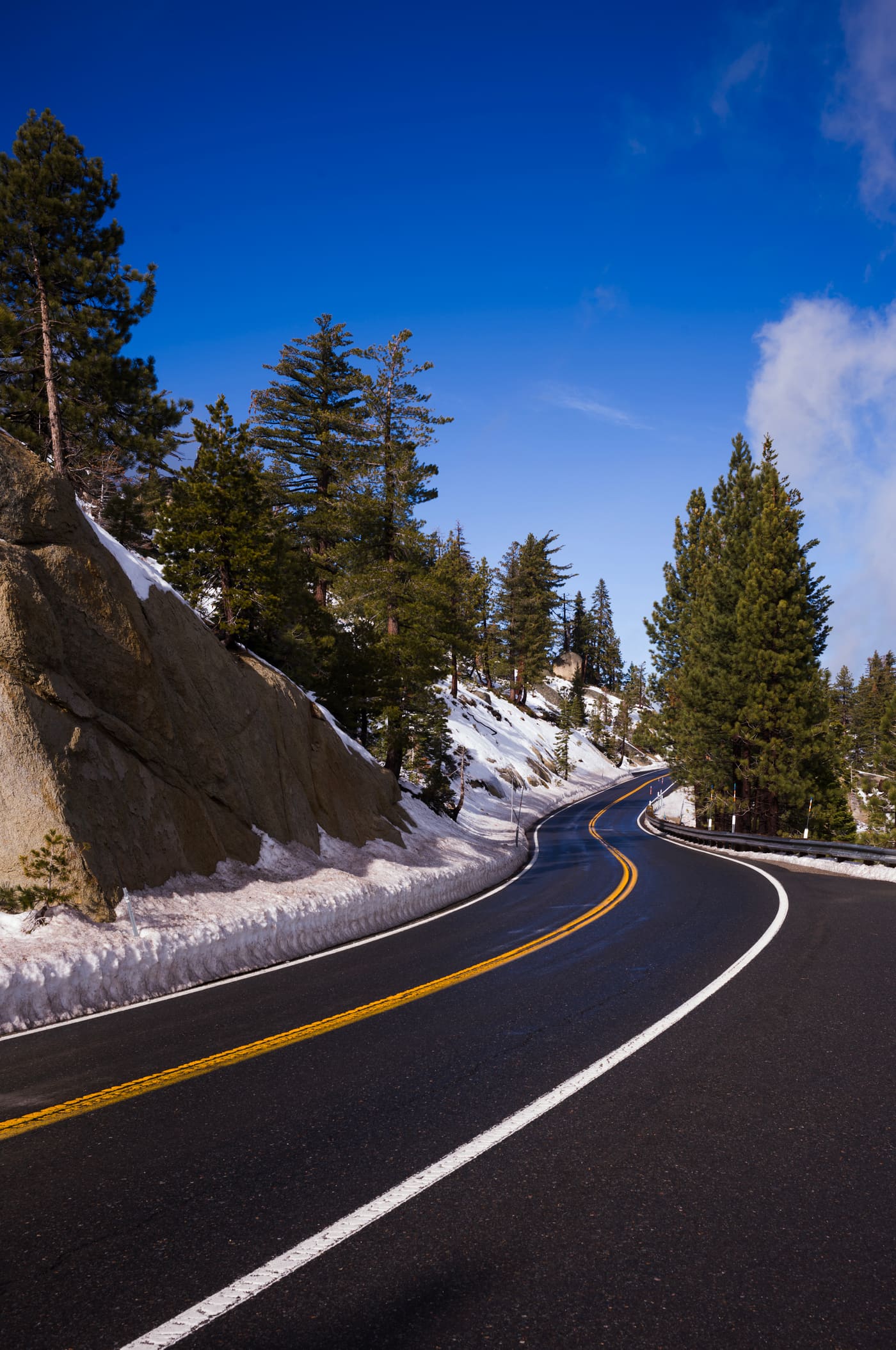 Photography by Sam Bloomberg-Rissman - S2408993