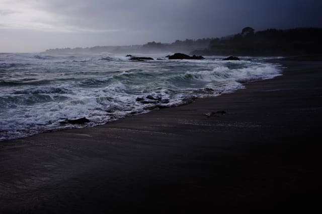 Photography by Sam Bloomberg-Rissman - S2509886