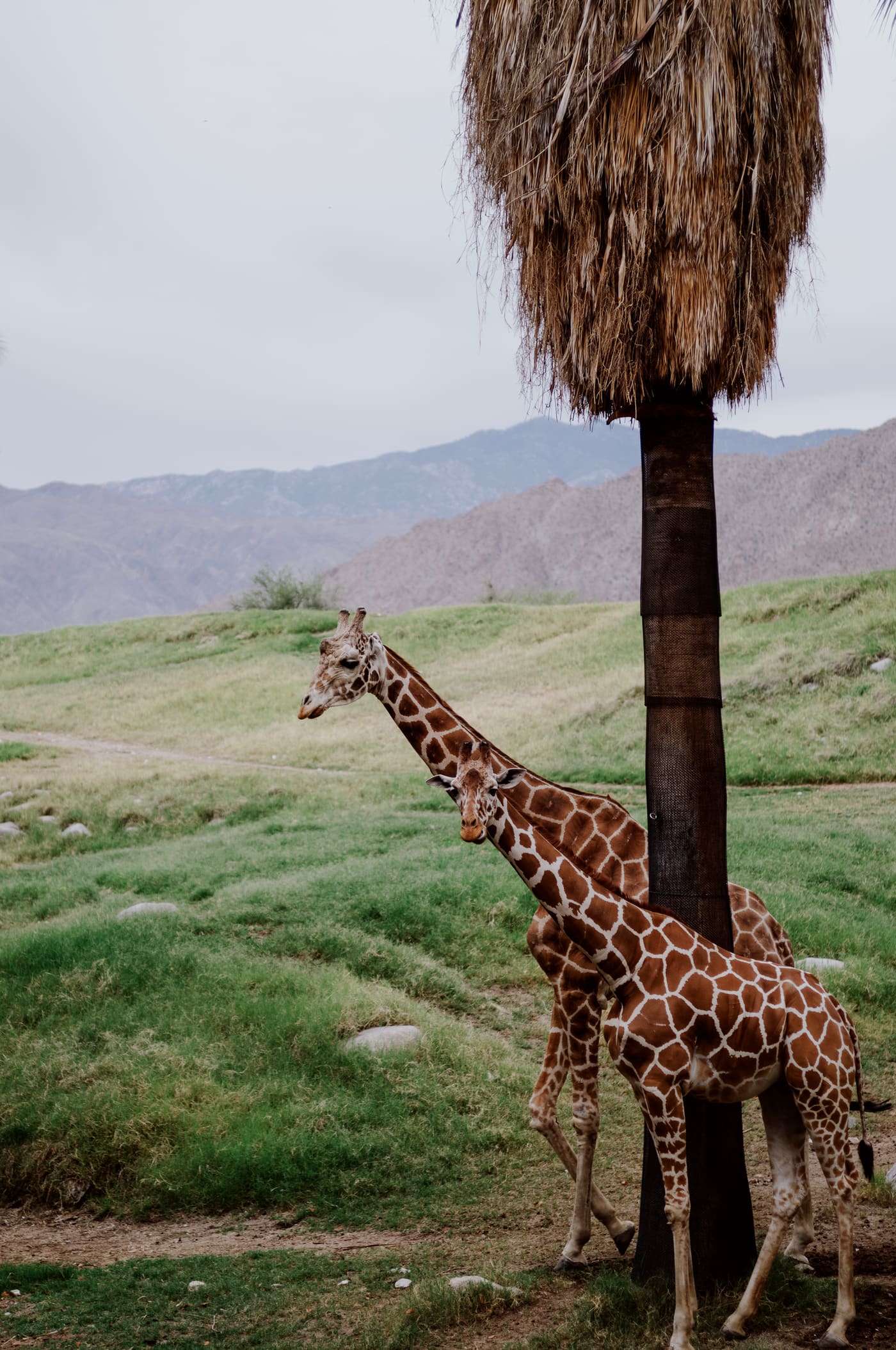 Photography by Sam Bloomberg-Rissman - S2604071
