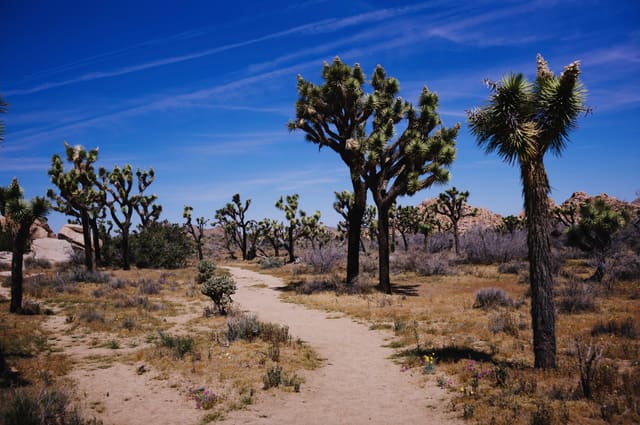 Photography by Sam Bloomberg-Rissman - S2604331