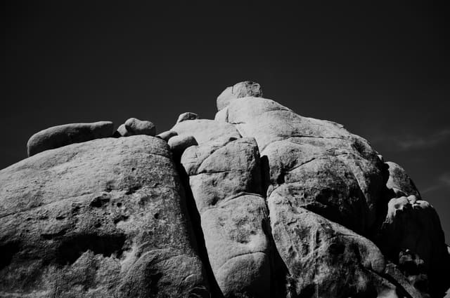 Photography by Sam Bloomberg-Rissman - S2604605