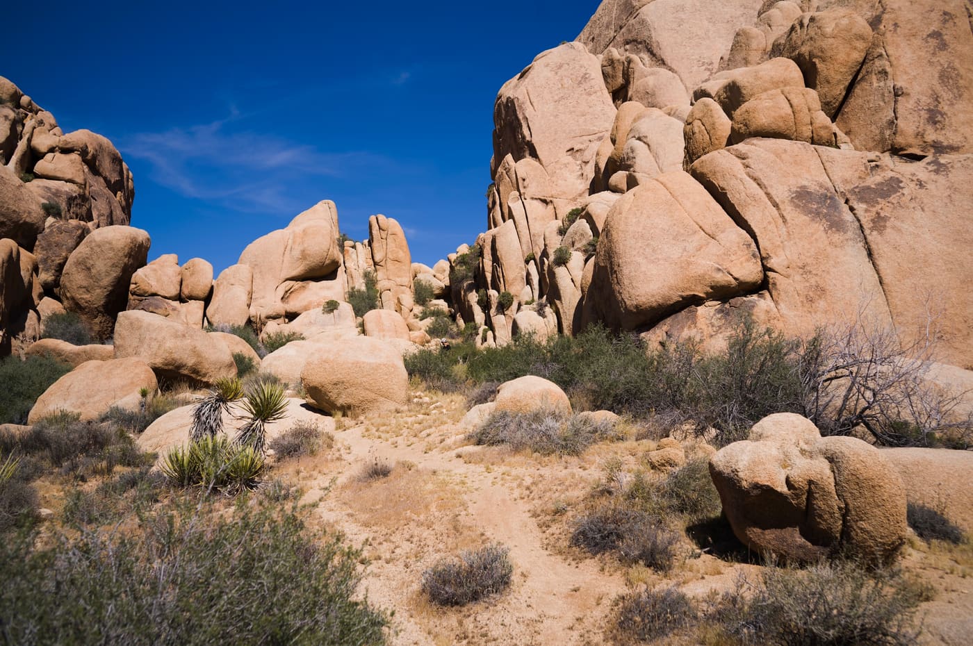 Photography by Sam Bloomberg-Rissman - S2604631