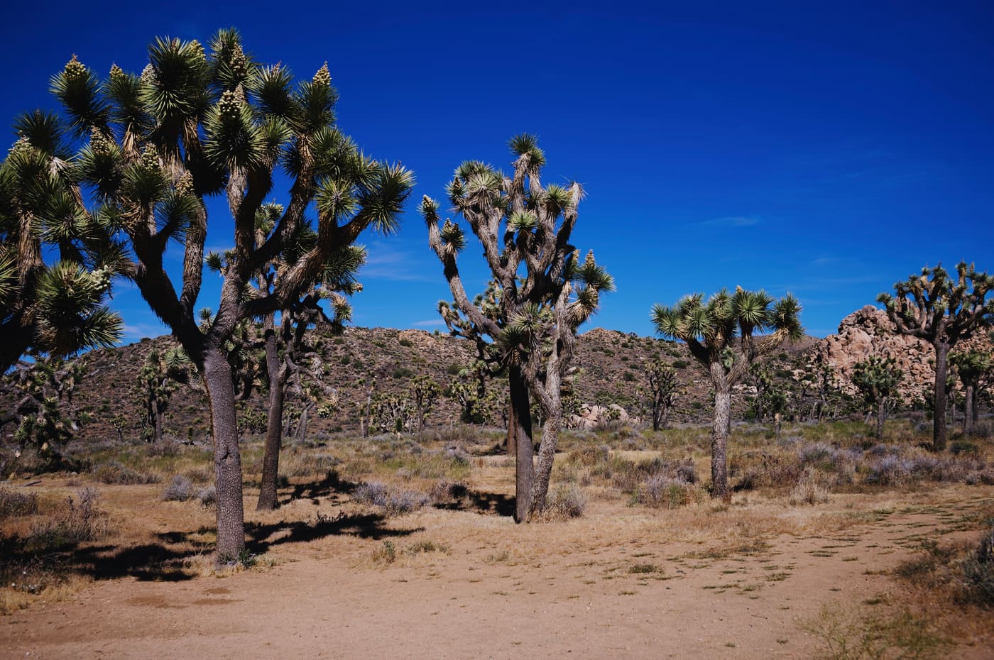 Photography by Sam Bloomberg-Rissman - S2604666
