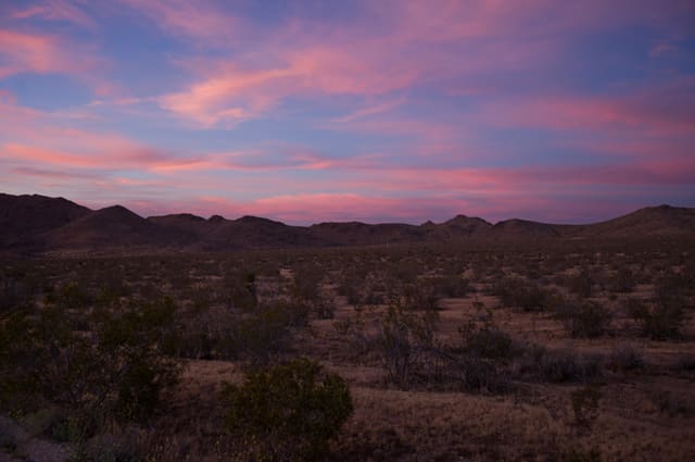 Photography by Sam Bloomberg-Rissman - S2604750