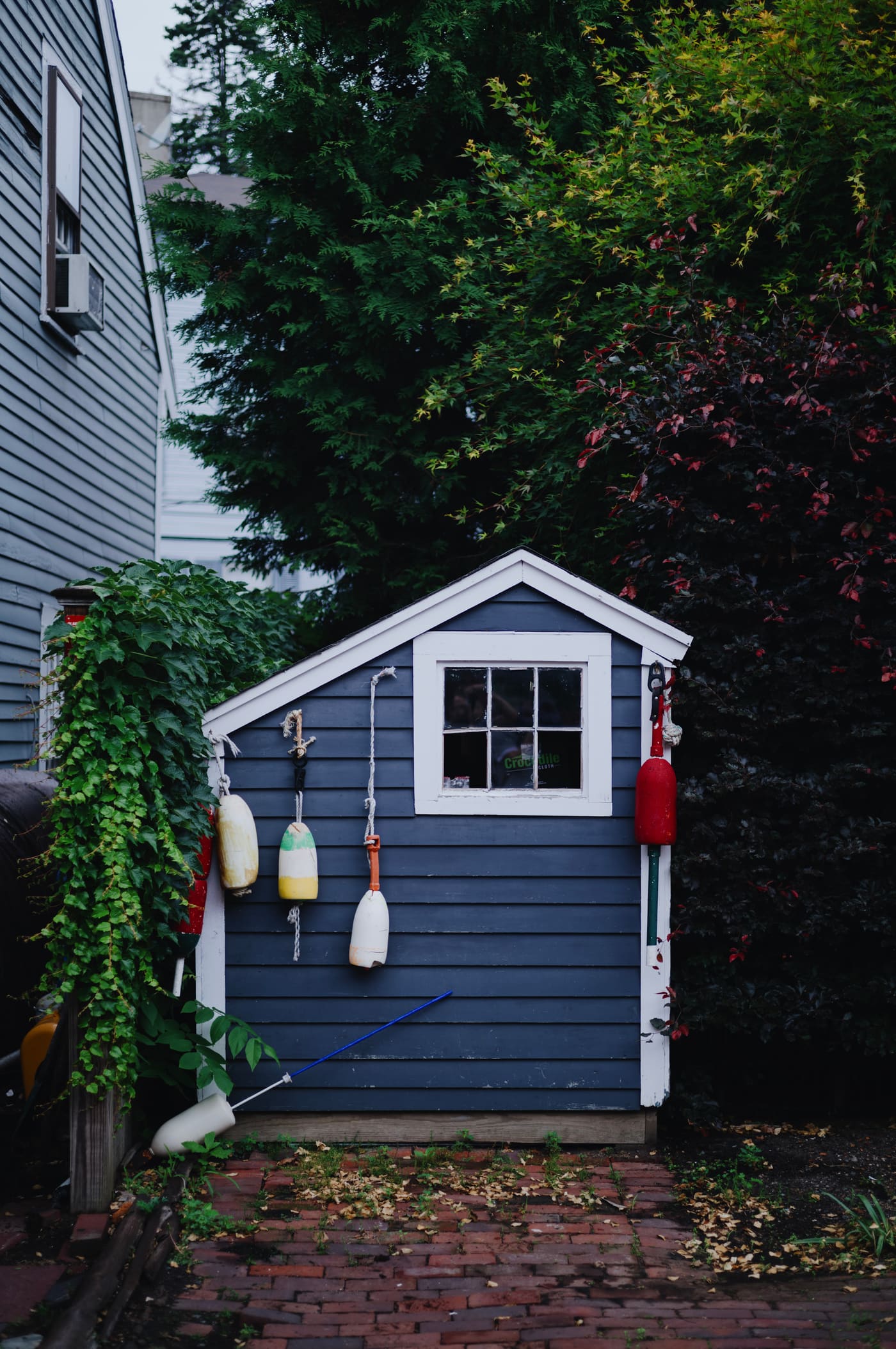 Photography by Sam Bloomberg-Rissman - S2605210