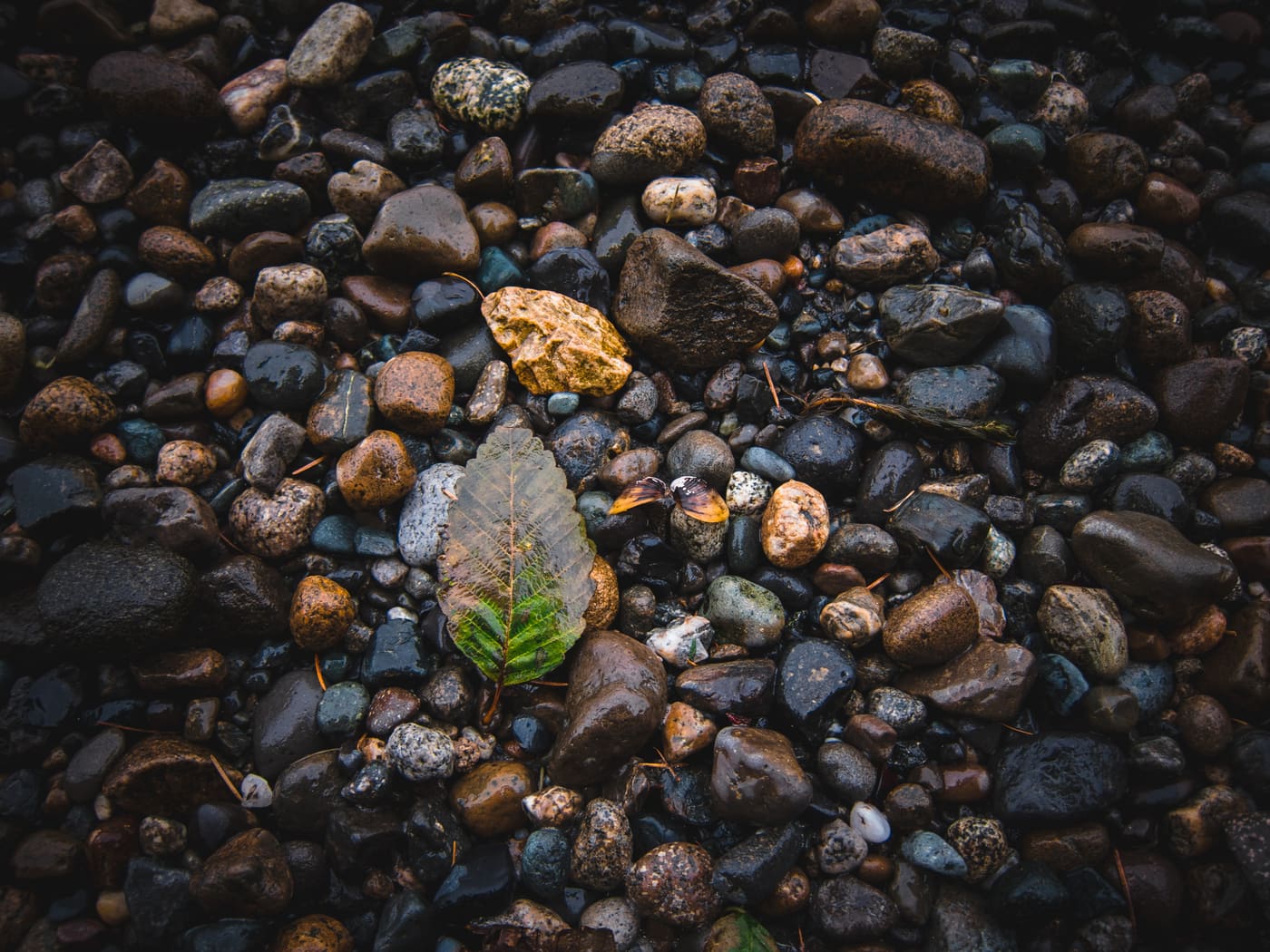 Photography by Sam Bloomberg-Rissman - untitled 3079