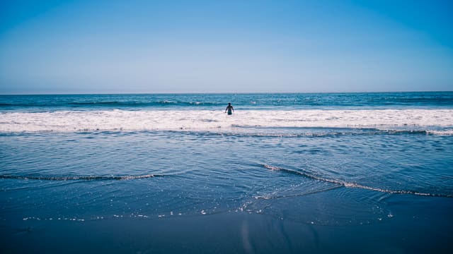 A lone figure stands waist-deep in the surf beyond a line of white foam under a clear blue sky.