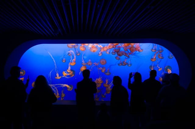 Silhouetted visitors stand before a vast arched aquarium window glowing blue with drifting orange jellyfish.