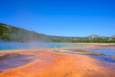 Steam drifts over an orange and turquoise thermal spring below forested hills under a clear blue sky.