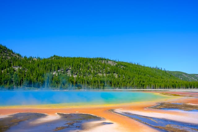 Turquoise hot spring with orange bacterial mats and drifting steam below a pine-covered ridge under clear blue sky