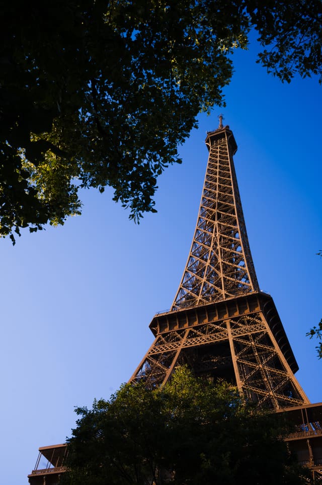 Upward view of the Eiffel Tower's iron lattice glowing warm against a deep blue sky, framed by dark leaves.
