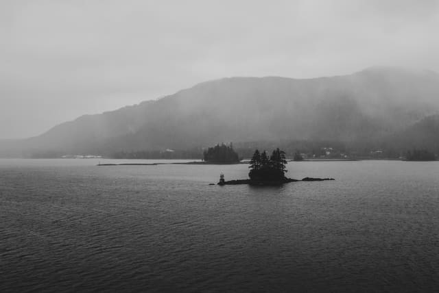 Black and white view of a tiny tree-covered island in choppy water with fog-shrouded coastal hills behind.