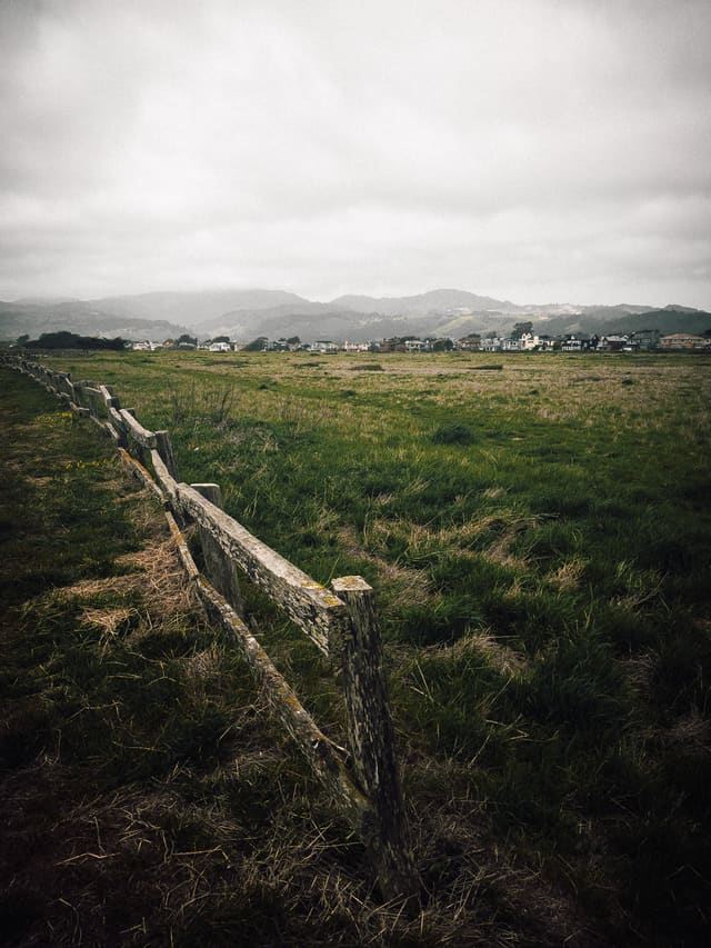 Photography by Sam Bloomberg-Rissman - IMG 0823